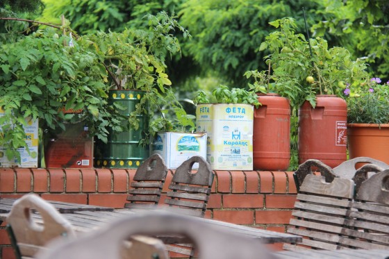 urban-gardening-balkongarten
