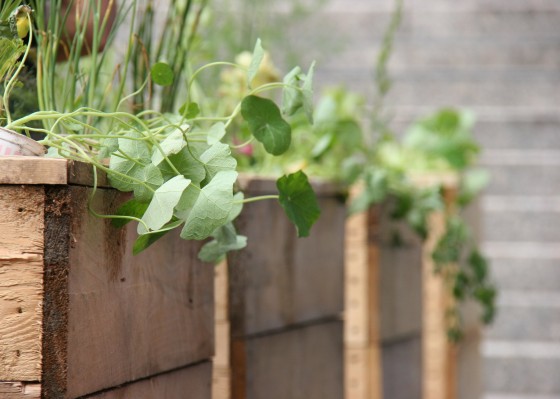 urban-gardening-pflanzkasten